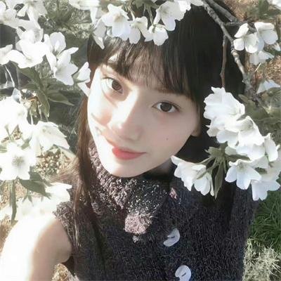 花水木